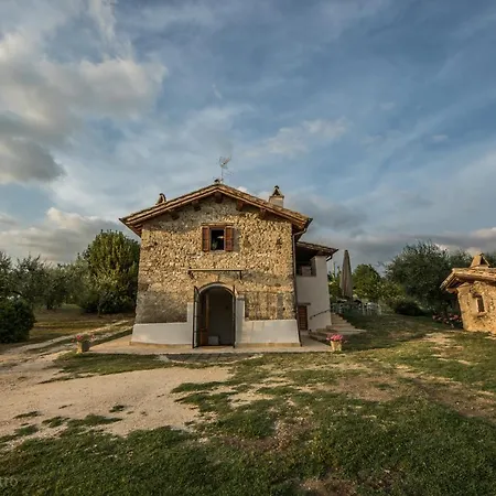 La Collina Degli Ulivi Forano