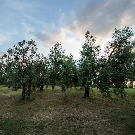 La Collina Degli Ulivi Gospodarstwo agroturystyczne *