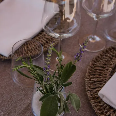 Farm stay La Collina Degli Ulivi Forano