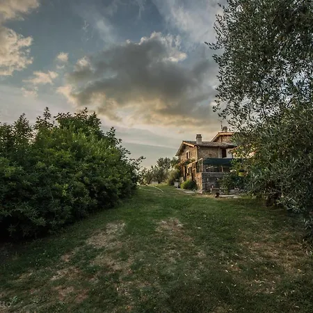 Farm stay La Collina Degli Ulivi *