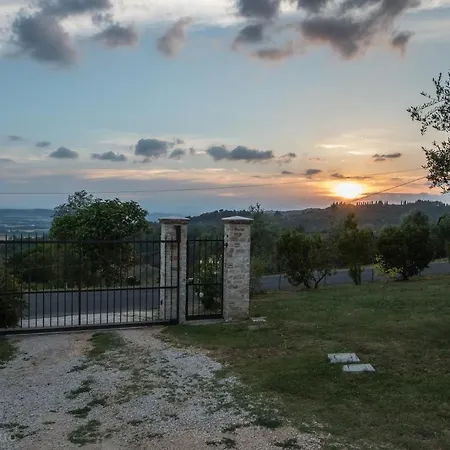 La Collina Degli Ulivi Farm stay