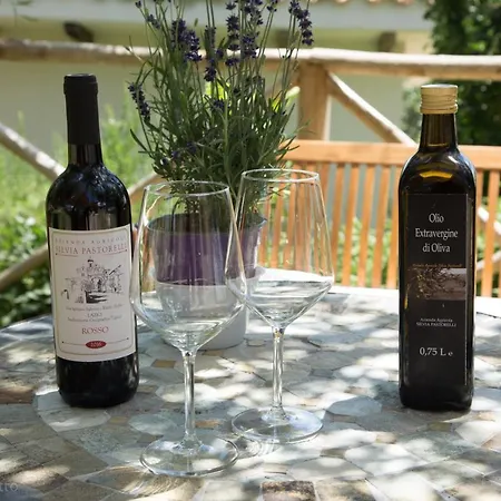 La Collina Degli Ulivi Forano