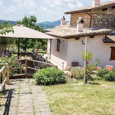 La Collina Degli Ulivi Forano