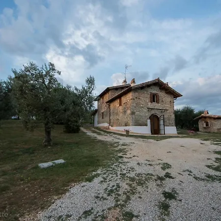 La Collina Degli Ulivi * Forano
