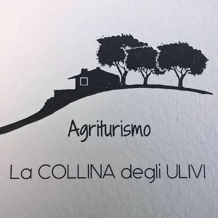 La Collina Degli Ulivi Farm stay *