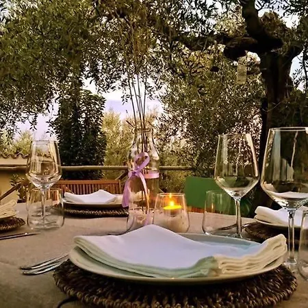 La Collina Degli Ulivi