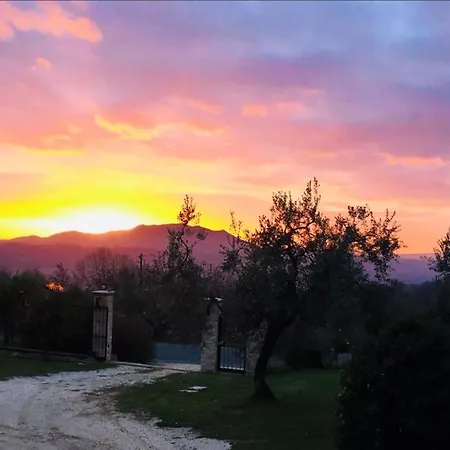 La Collina Degli Ulivi Vakantieboerderij