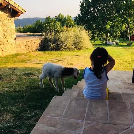 La Collina Degli Ulivi Lantgård Forano