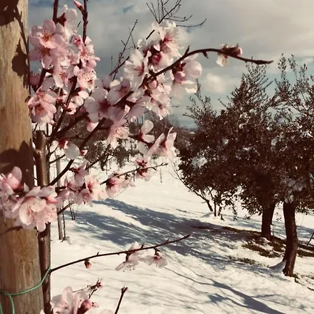 La Collina Degli Ulivi Gospodarstwo agroturystyczne Forano