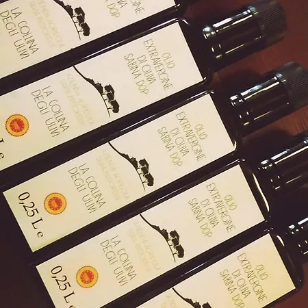 La Collina Degli Ulivi