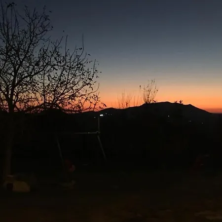 La Collina Degli Ulivi * Forano