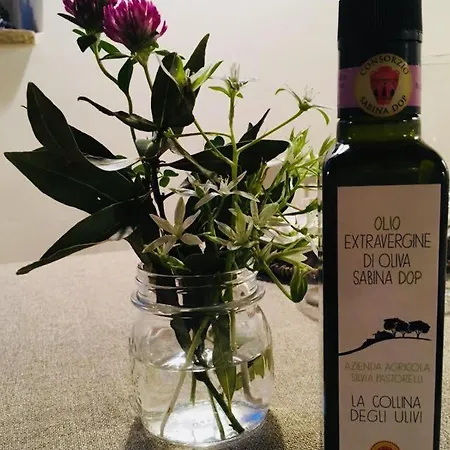 Lantgård La Collina Degli Ulivi