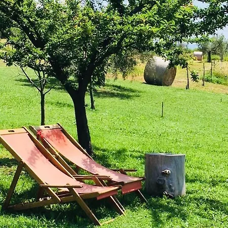 Gospodarstwo agroturystyczne La Collina Degli Ulivi