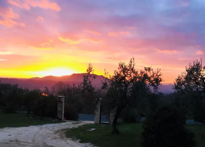 La Collina Degli Ulivi Κατάλυμα σε φάρμα